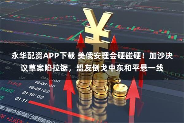 永华配资APP下载 美俄安理会硬碰硬！加沙决议草案陷拉锯，盟友倒戈中东和平悬一线