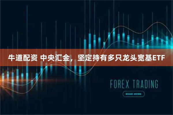 牛道配资 中央汇金，坚定持有多只龙头宽基ETF