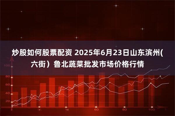 炒股如何股票配资 2025年6月23日山东滨州(六街）鲁北蔬菜批发市场价格行情